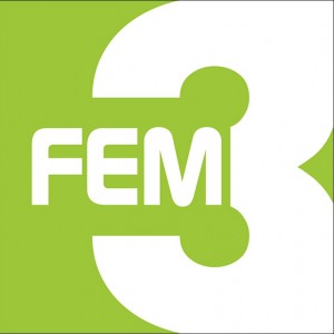 FEM3